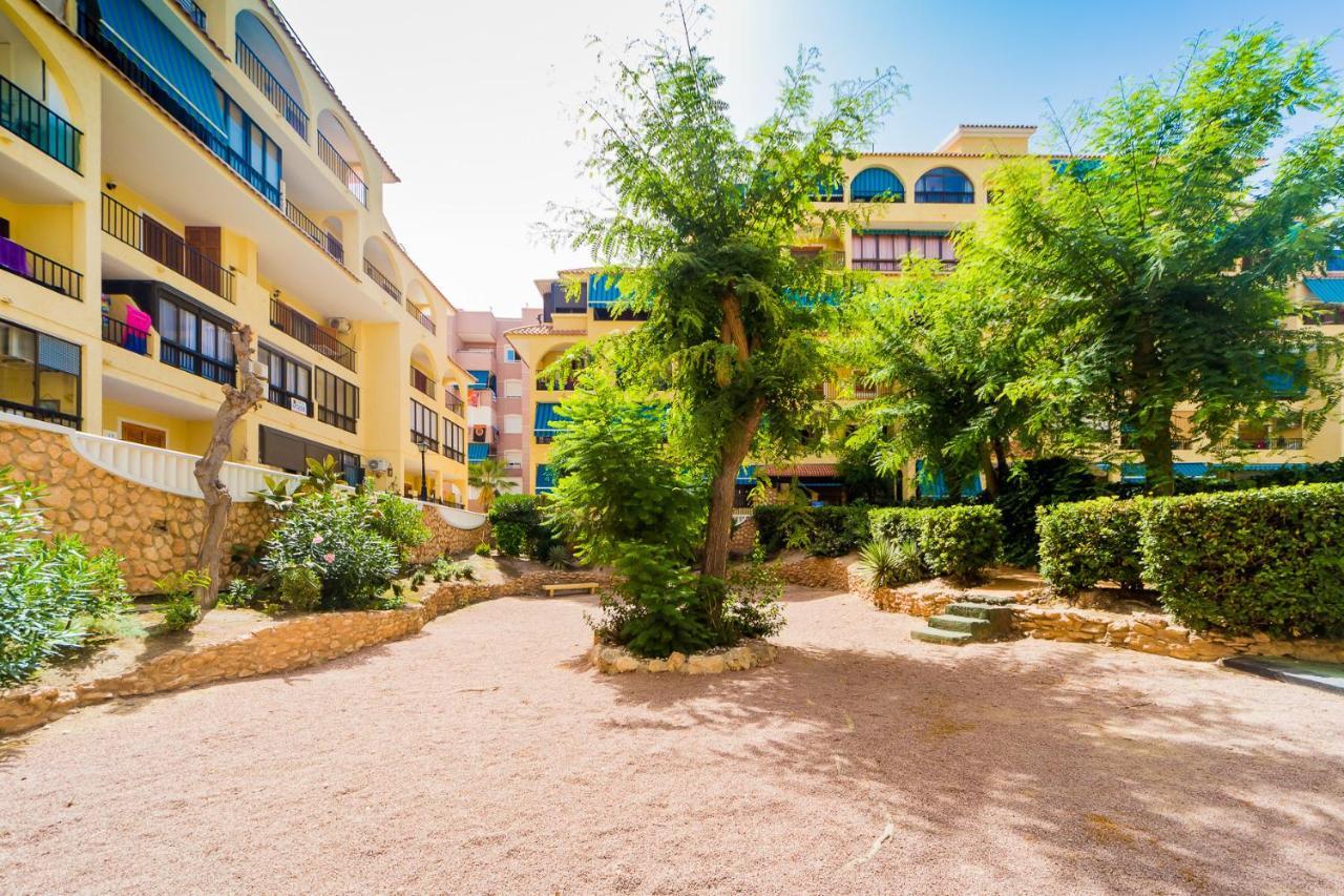 Apartamento Alegria Id36 La Mata  Εξωτερικό φωτογραφία